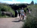 Detroit Zoo 6