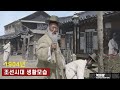 Rare Photos And Color Videos Of Street Life In Seoul During The 1904 Joseon Dynasty