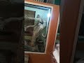 Variety S Of Snakes Mysore Zoo Rathishvlogs Zoo