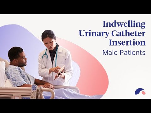 Urinary Catheter Insertion for Males | Ausmed Explains ...