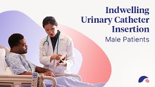 Urinary Catheter Insertion for Males | Ausmed Explains ...