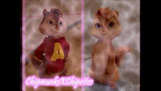 Det Vackraste Jag Vet The Chipttes( Cecilia Vennersten )