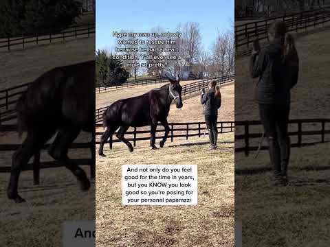 He’s conceited. He’s got a reason. But really did….