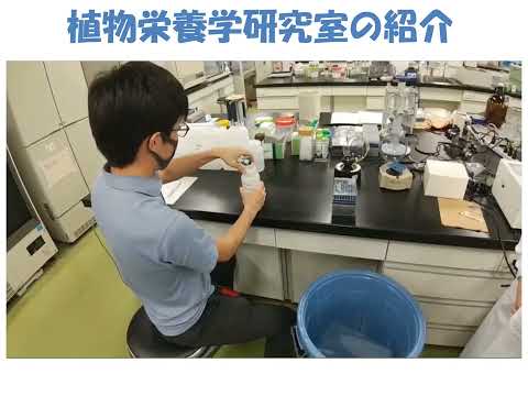 研究室「植物栄養学」【農芸化学コース】農林海洋科学部