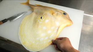 毒があるかどうか誰も知らない。深海の『ウチワフグ』の肝を食べてみたら、、、