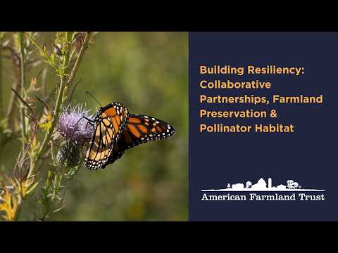 Strengthening Resilience: Teamwork, Land Conservation & Bee Habitats