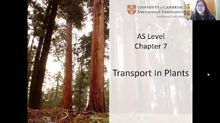 Chap 7 (Part 1a) - Plant Anatomy, Xylem and Phloem | Cambridge A-Level 9700 Biology