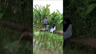 Download lagu Sketsa bodor sunda|| Si jail g ada habisnya mp3