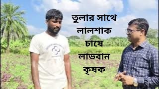তুলার সাথে লালশাক চাষে লাভবান কৃষক