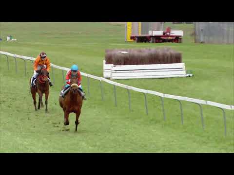 Fehraltorf/02.04.2018/Preis der Firma Intool AG - Poneys D