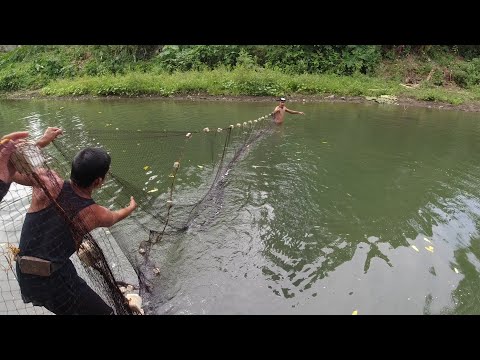 SE03EP019 Part 1 - JACKPOT! PAMIMIKOT ng KARPA | Catch Cook & Eat - San Antonio, Quezon