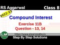 Compound Interest | Class 8 Chapter 11 Exercise 11B Question 13 - 14 | RS Aggarwal | Learn Maths