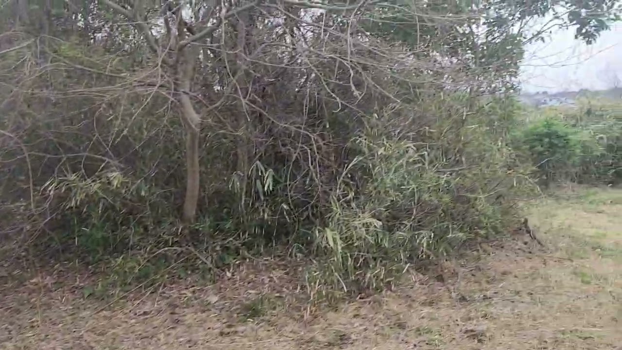 A tree that is down, down, down, can still have a heart that is up, up, up." #nature #love #life