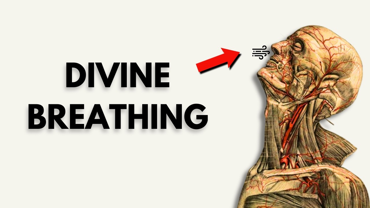 Once YOU BREATHE Like This TRANSITION HAPPENS INSTANTLY