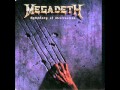 Megadeth - Symphony Of Destruction Remix 