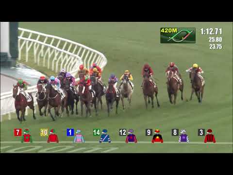 20/2/2022 (442) Majestic Victory -  L Ferraris