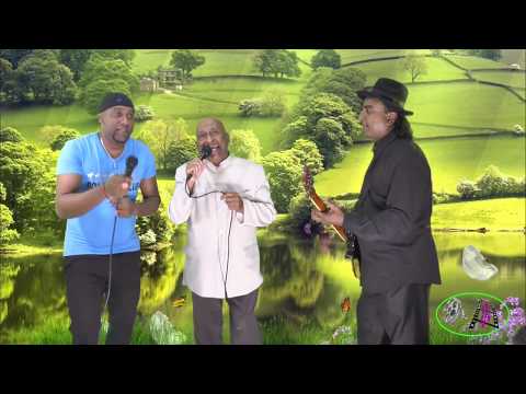 Ek Ajnabi - Naqi Bilgrami An Raju Laloo