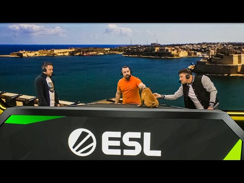 The Cutest CS:GO Expert you have ever seen