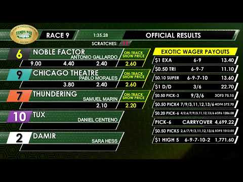 Tampa Bay Downs Live Stream