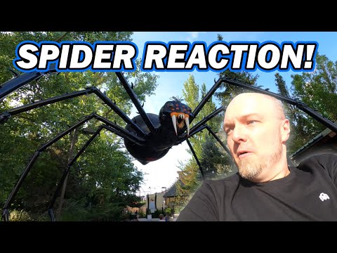 Video review of Spider by TheXPProject