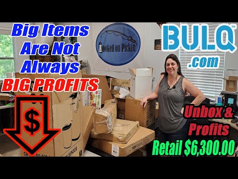 Bulq.com Pallet Unboxing and Profit Numbers Revealed. Lots of big Items but not very big Profits.