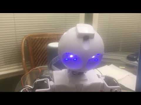 Ezang's Robot Head Moves With Voice Commands And Voice Response