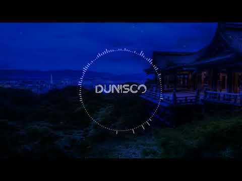 Kygo ft Parson James - Stole The Show (Dunisco Remix)
