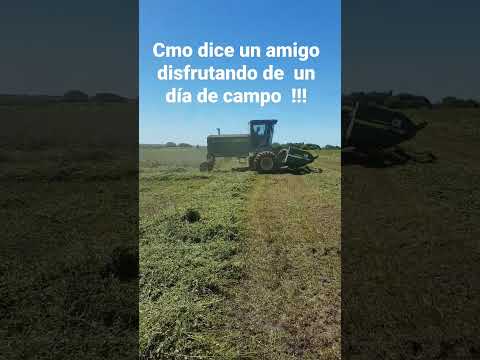 tirando alfalfa al piso.  en paso de la cadena  , canelones.  Uruguay 🇺🇾 🇺🇾