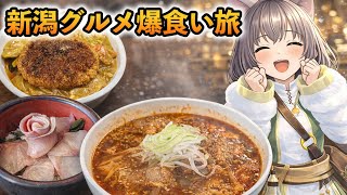 【新潟グルメVlog】バスセンターのカレーと鰤丼と十日町焼肉