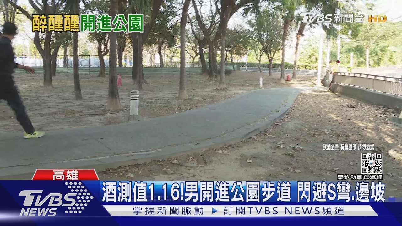 怎麼辦到的!酒駕男一路「S彎」開進公園 警:比考駕照難