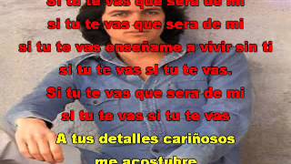 CAMILO SESTO SI TU TE VAS con letra