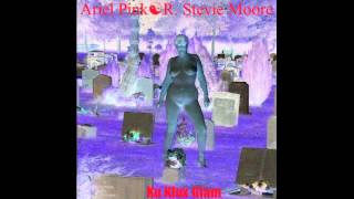 R. Stevie Moore - Come My Way