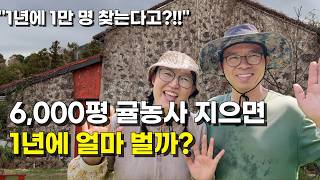 서울 생활 정리하고 부부가 제주도로 귀농한 이유 l 귤농사 6천평 수익은?