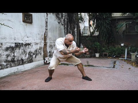 Rare and Ancient Tai Chi Monkeyfist Sequence