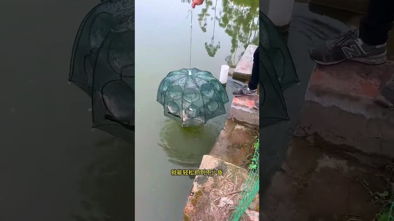 Sea Fishing Pro 🎣 | Deep Sea Fishing Adventure | Big Catch & Ocean Life