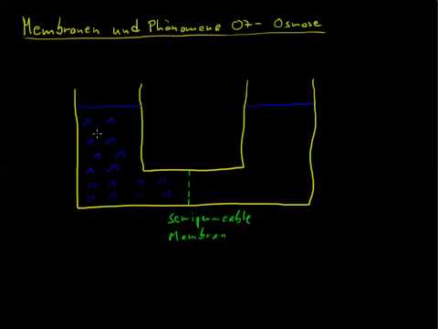 Membranen und Phänomene 07 - Osmose