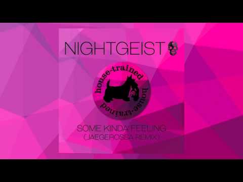Nightgeist 'Some Kinda Feeling' (Jaegerossa Remix)