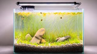 Low Tech Dirted Nano Aquarium – No CO2, Budget Aquascape Tutorial (Step by Step)