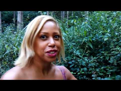 Picking Berries in the Woods