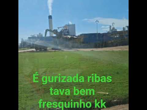 paliteiro MS fábrica Suzano ribas do rio pardo.