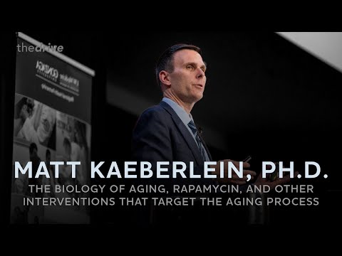 175 - The biology of aging, rapamycin, and other interventions that target the aging process
