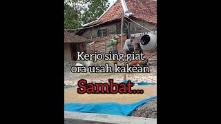 Download lagu OJO KAKEAN SAMBAT//PengBrow_official mp3