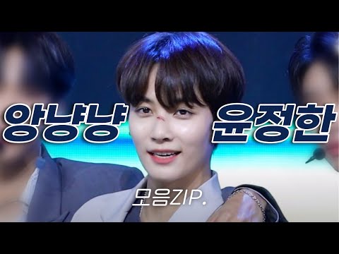 [세븐틴/정한] 앙냥냥 거리는 귀여운 정한이 모음☁️❤️