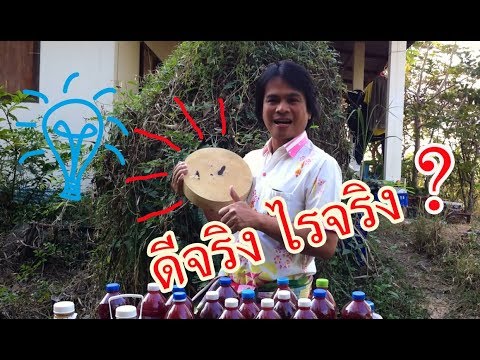 สำหรับยาเสพติดเชื้อโรคผู้หญิง รับพรูอัตราค้อน