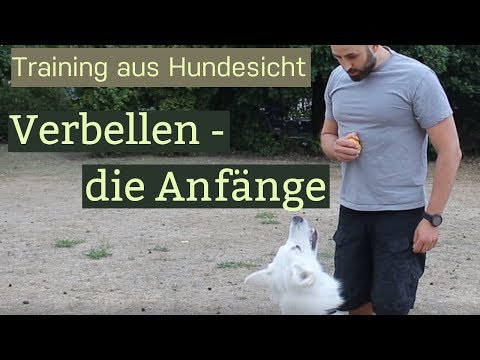 Schutzhundesport ohne Stress: Hund zum Verbellen bringen