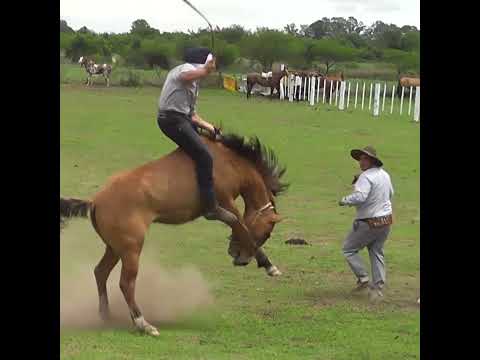 Monta en clina Facundo Cordoba en Colonia Mascias Santa Fe