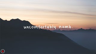 American Football ft. Hayley Williams - Uncomfortably Numb (Lyrics)