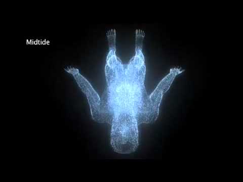 Biodynamic Craniosacral Therapy DVD with Judah Lyons