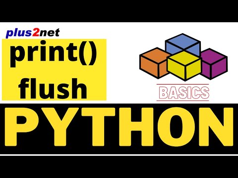 Flushing Buffers In Python