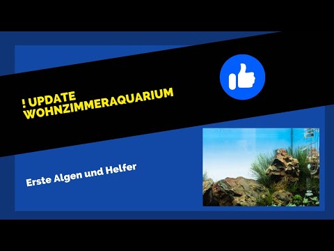 Erstes Update Wohnzimmeraquarium